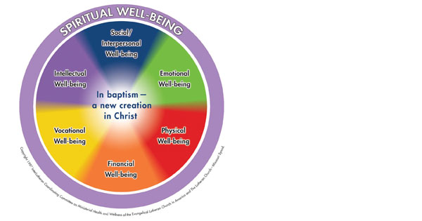 The Search For Whole Life Stewardship Paradigm