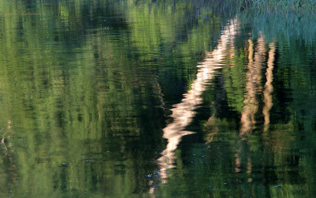 Take Time To Review The Big Picture