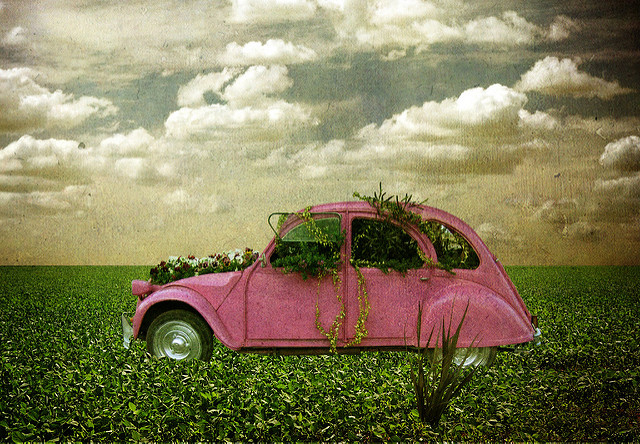 Be Part Of The Bigger Picture