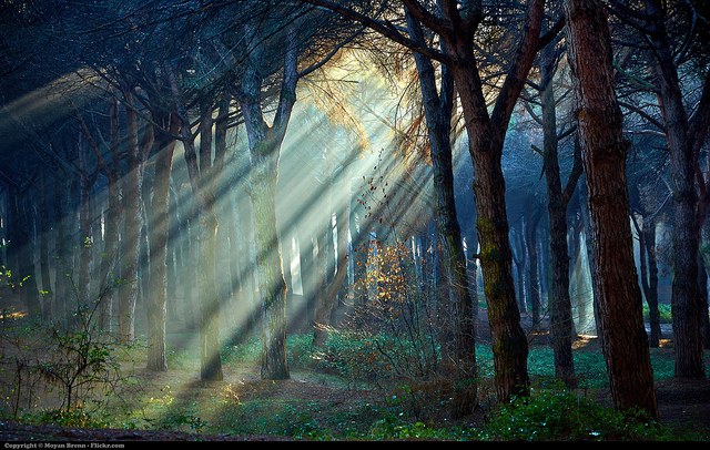 We Can Change With God’s Help