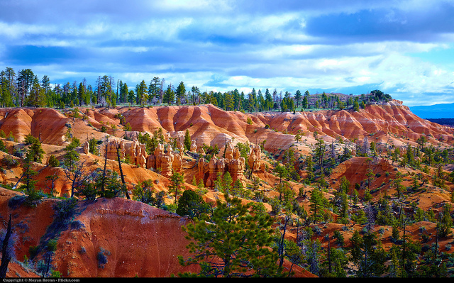 Traveler Or Tourist?