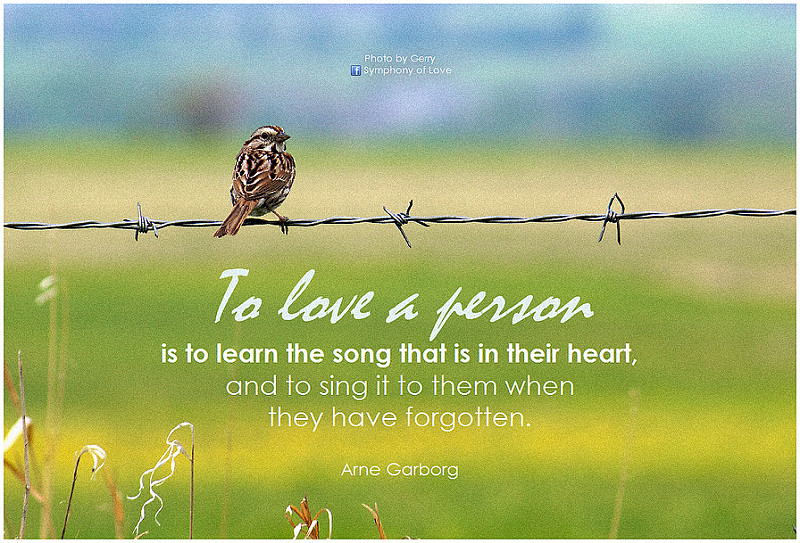 Put A Song Back In Your Pastor’s Heart With A Sabbatical